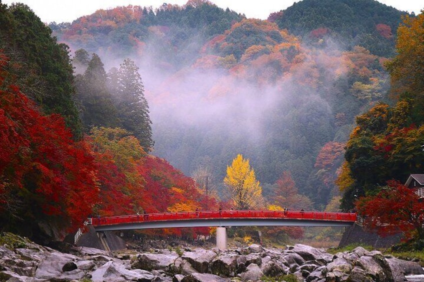 From Nagoya: Korankei Gorge and Picturesque Fox Shrines