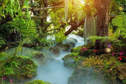 Chiang Rai witte en blauwe tempels met Lalitta Cafe