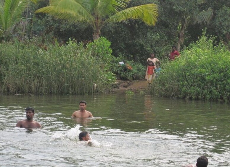 Picture 1 for Activity Cochin shore excursion with Lijo Jose