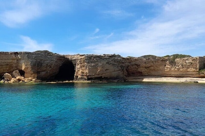 Tour of the island of Ortigia and the Plemmirio reserve