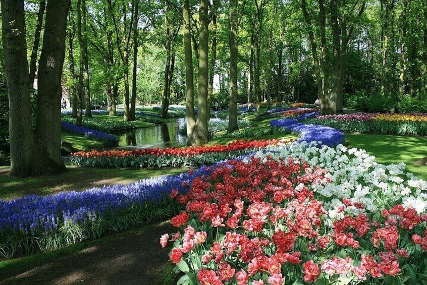 Tulip Paradise: Keukenhof Half-day Private Tour 