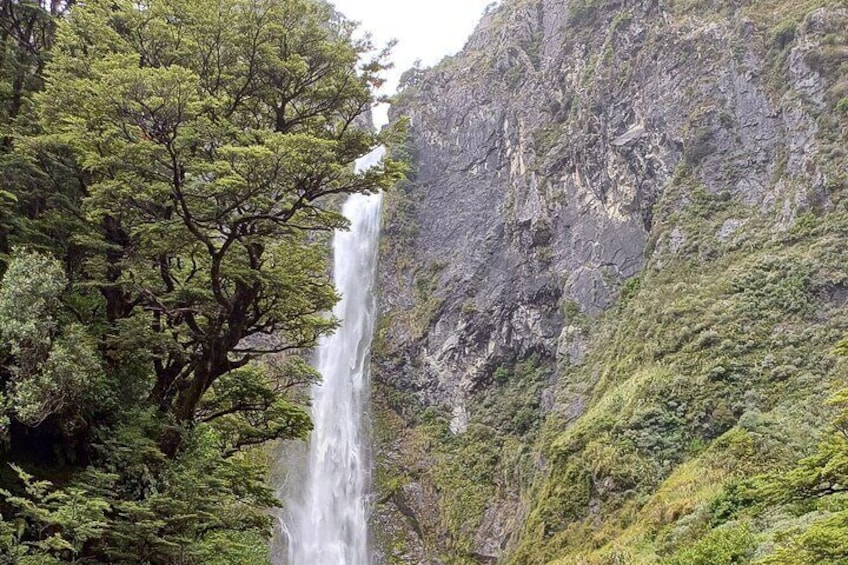 Private Day Tour Arthur's Pass & Castle Hill