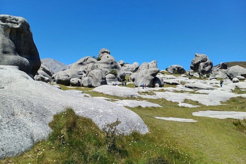 Private Day Tour Arthur's Pass & Castle Hill