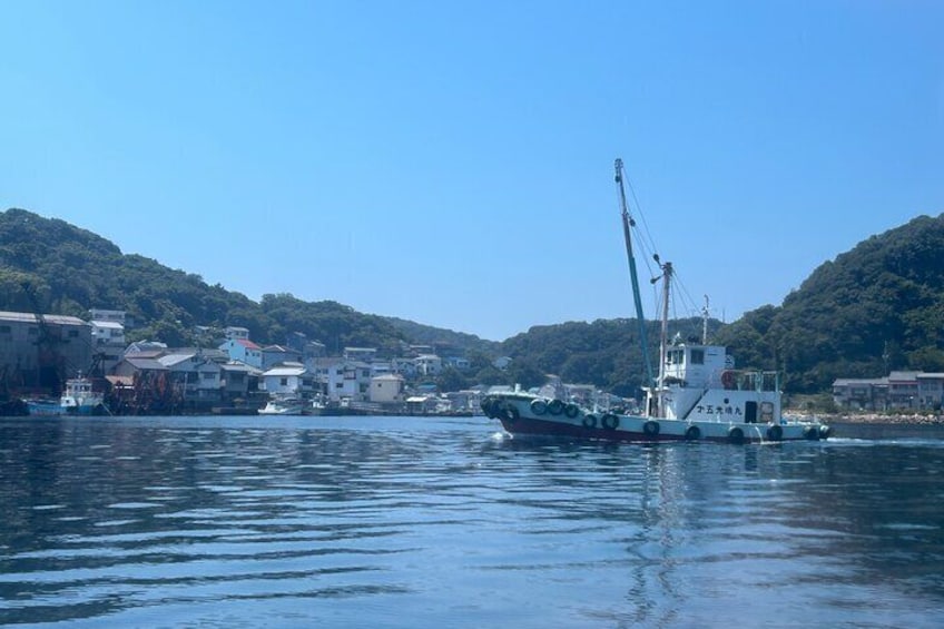 Private Cruise to Ieshima Island with Lunch Included