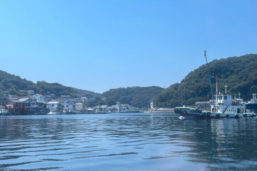 Private Cruise to Ieshima Island with Lunch Included