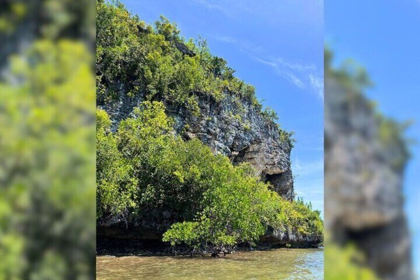 Private Bohol Anda and Candijay Tour