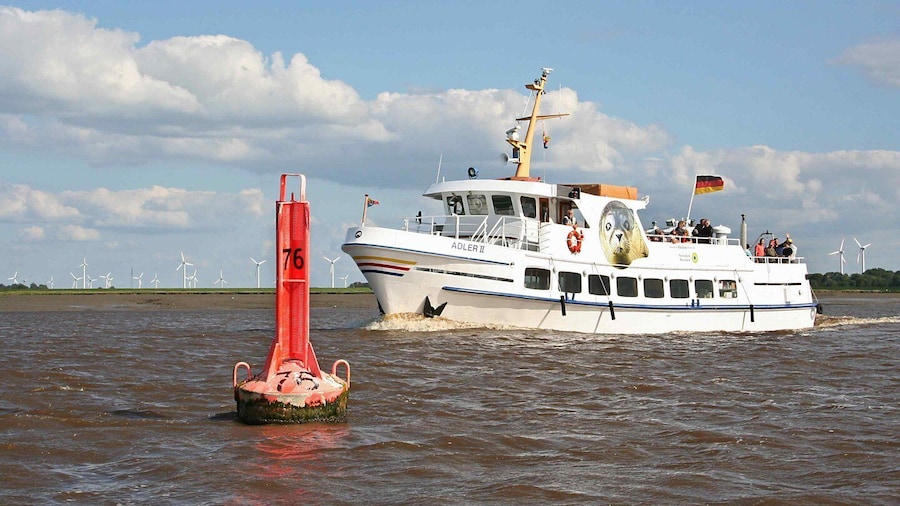 From Tönning: Boat trip to see the seals