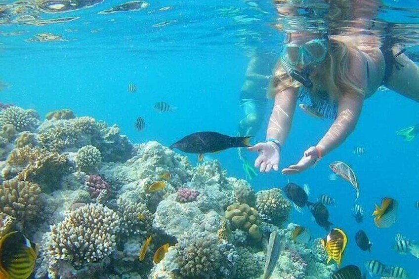 Hurghada Water Adventure Shared Tour
