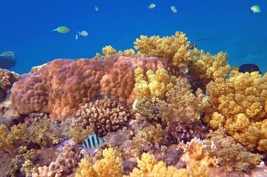 Hurghada Water Adventure Shared Tour