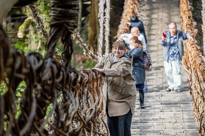 Luxury tour to Iya Valley's Kazurabashi and Oboke gorge by boat