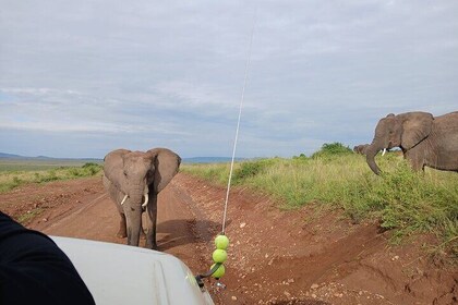 03 Days Wildlife and Nature Adventure in Maasai Mara