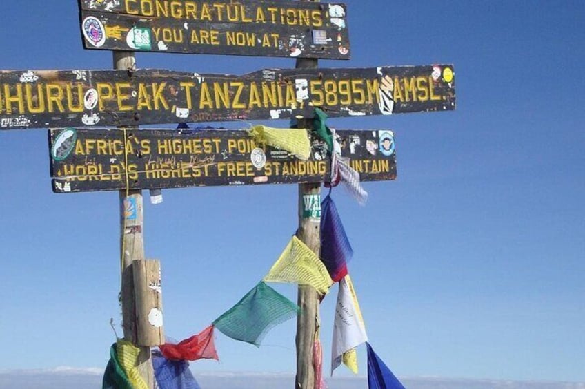 Climb Mount Kilimanjaro: 7 Days Machame Route With Airport Transfers