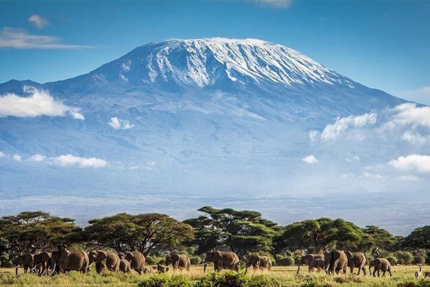 Climb Mount Kilimanjaro: 7 Days Machame Route With Airport Transfers