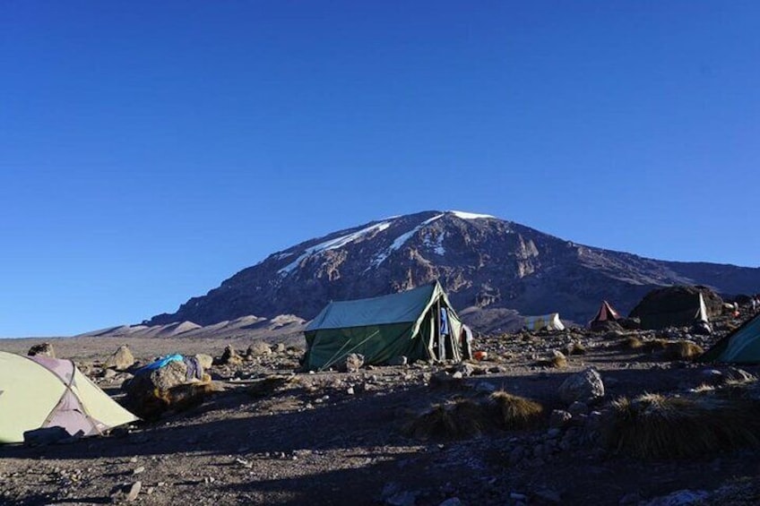 Climb Mount Kilimanjaro: 7 Days Machame Route With Airport Transfers