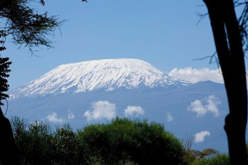 Climb Mount Kilimanjaro: 7 Days Machame Route With Airport Transfers