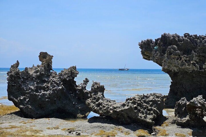 Zanzibar Full day Safari Blue Tour With Lunch