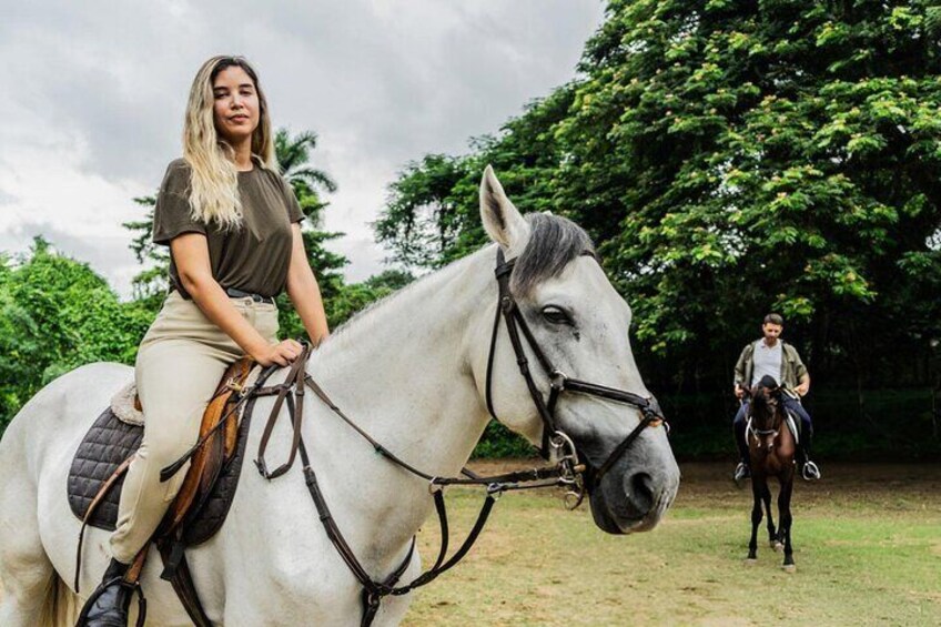 Discover Horseback Riding in Palmeraie Grove – Marrakesh