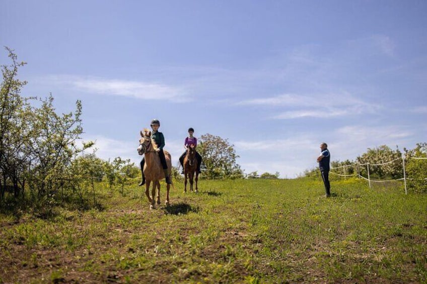 Discover Horseback Riding in Palmeraie Grove – Marrakesh