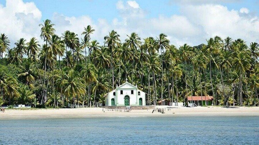 Tour Praia dos Carneiros with exit Porto de Galinhas