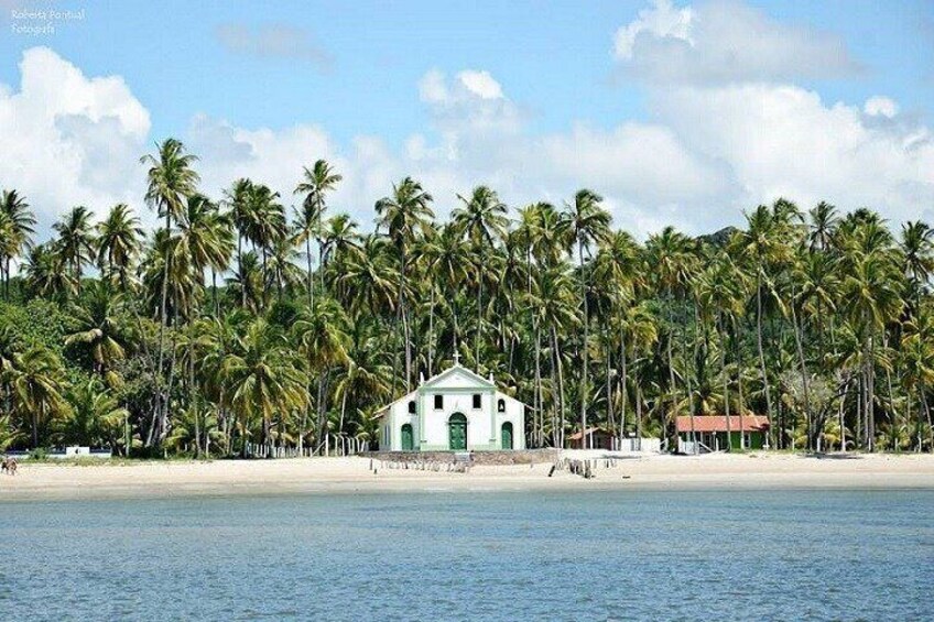Tour Praia dos Carneiros with exit Porto de Galinhas