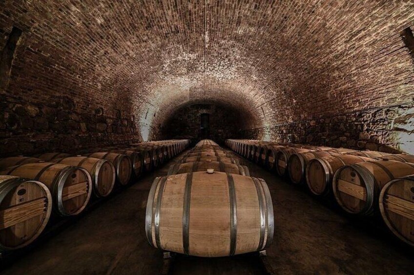 Half day wine tour - Visit 2 wineries in Luján de Cuyo