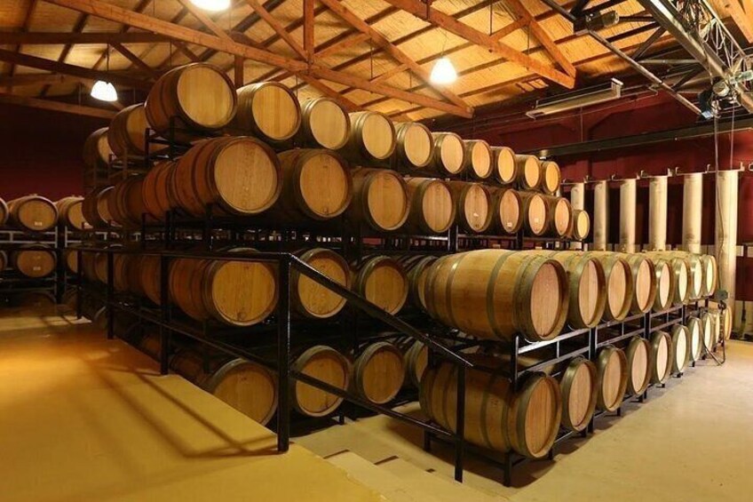 Half day wine tour - Visit 2 wineries in Luján de Cuyo