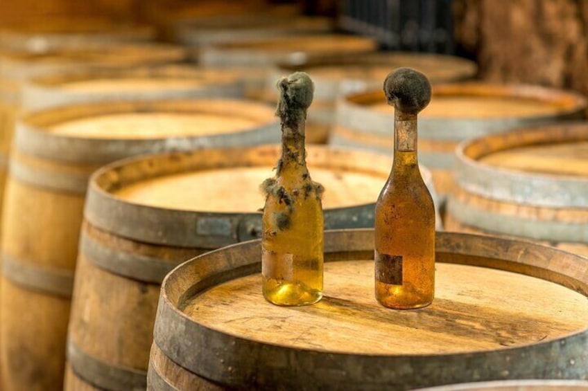 Tokaj Private Day Trip with Lunch and Wine Tasting