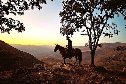 Horseback Riding Tour with Lunch included and Party in Cantaritos