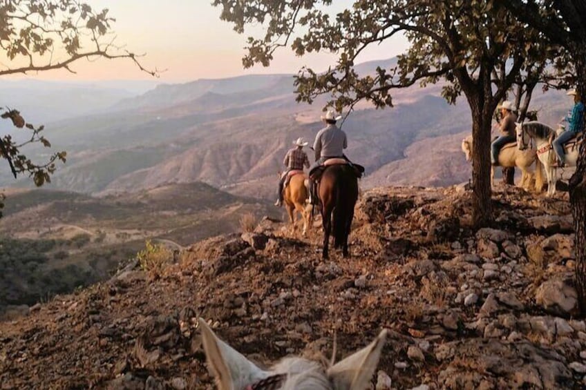 Discover Jalisco on Horseback