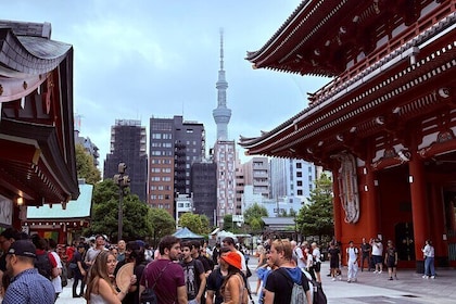 Tokyo 6 uur privé stadstour met lokale Gids