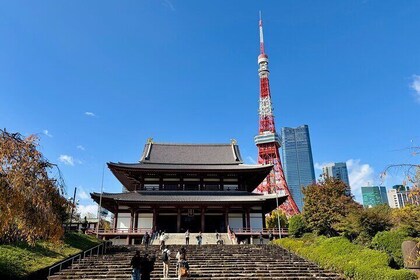 Tour privato della città di Tokyo di 6 ore in auto con Guida locale