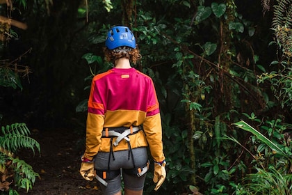 Monteverde: 1.9-Mile Cloud Forest Zipline Experience