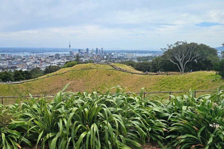 Enjoying Auckland