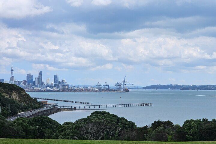 Auckland City Highlights Tour