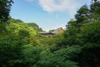 京都 : Fushimi Inari Hidden Hike (私人)