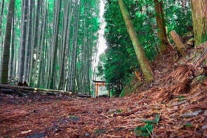 Fushimi Inari Shrine Secret Paths Tour