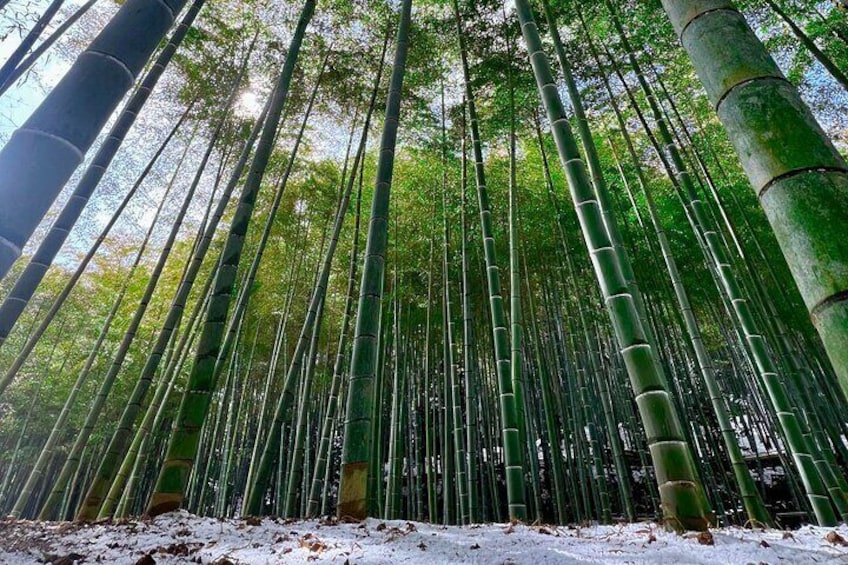 Hidden Trails at Fushimi Inari: Early Morning Walking Tour