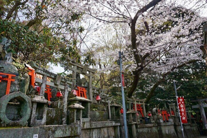 Fushimi Inari Hidden Hike