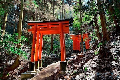 Hidden Trails at Fushimi Inari: Early Morning Walking Tour