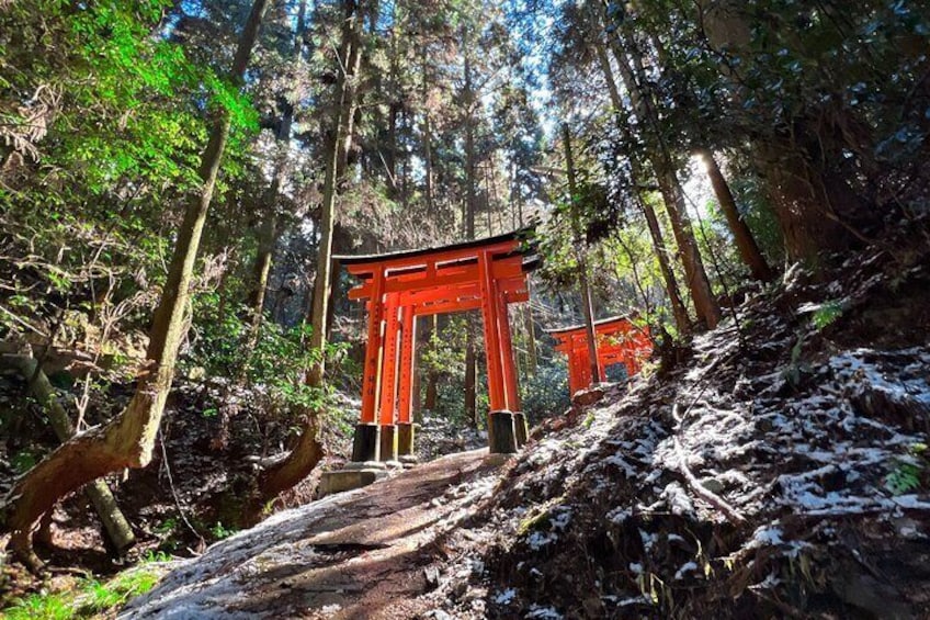 Secret Path on Fushimi Inari Shrine