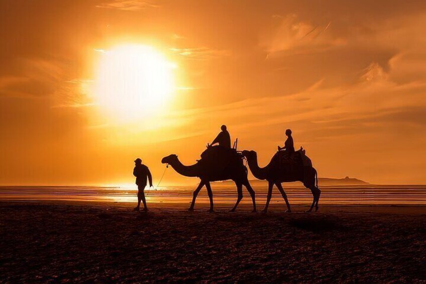 Camel Ride in Agadir with Dinner BBQ