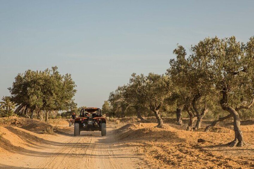 Djerba blu lagune buggy and quad 