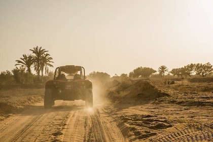 Djerba 1H30 Buggy Tour