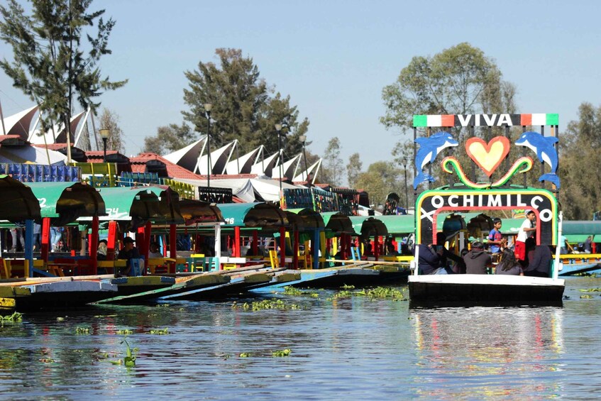 Picture 8 for Activity CDMX: Trajinera ride in Xochimilco with tacos, music and drinks