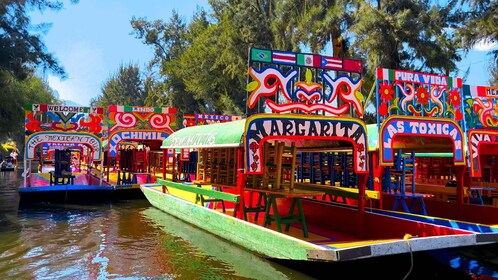 CDMX: Trajinera ride in Xochimilco with tacos, music and drinks
