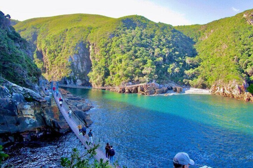 1 Day Garden Route Tour to Tsitsikamma from Port Elizabeth