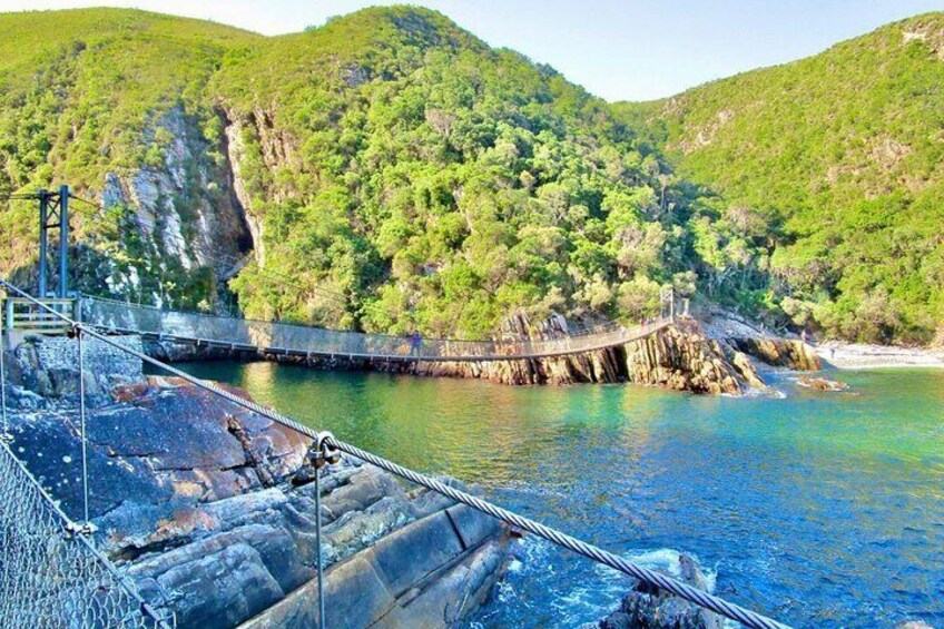 1 Day Garden Route Tour to Tsitsikamma from Port Elizabeth