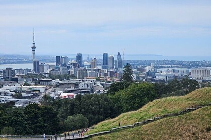 Tour privado de medio día por Auckland City