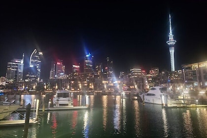 Auckland Halfday Private Guided Tour