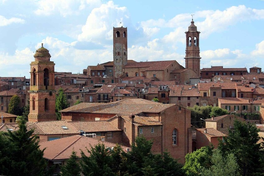 Picture 2 for Activity Città della Pieve: urban trekking, visiting Etruscan remains